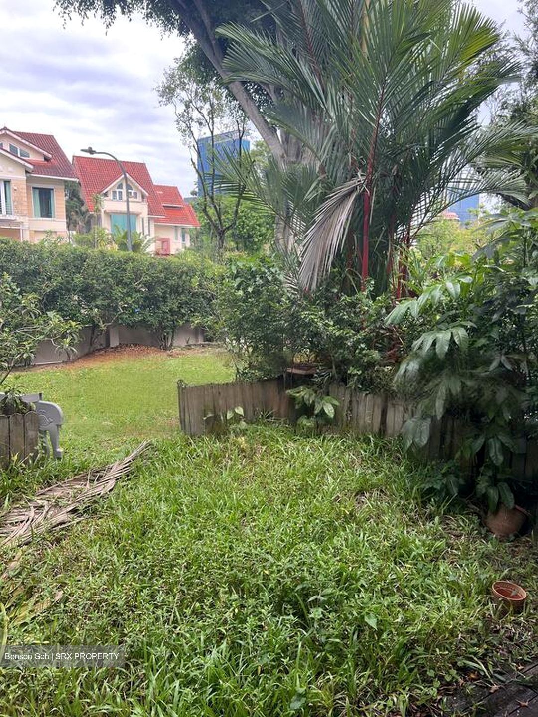 Chancery Lane (D11), Terrace #448229141